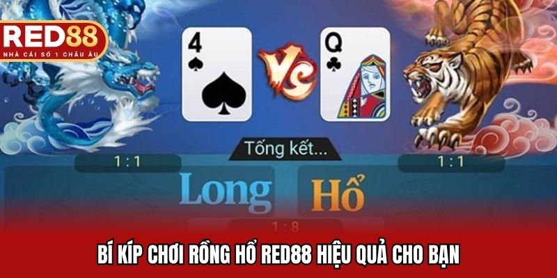 “Bí kíp” chơi rồng hổ RED88 bách chiến bách thắng
