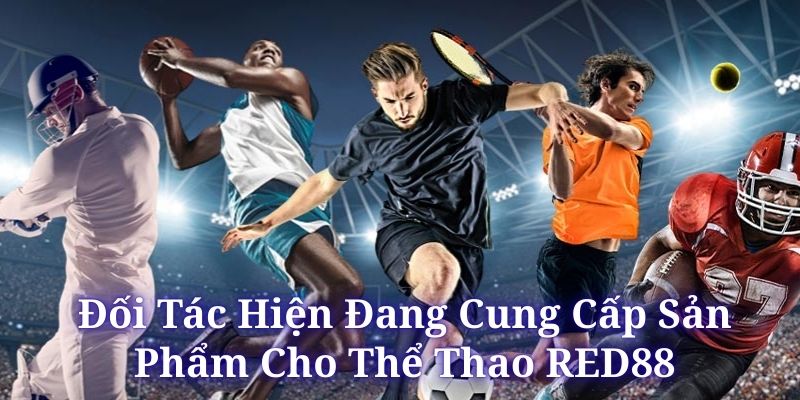 Đối Tác Cung Cấp Sản Phẩm Cho RED88 – Bệ Phóng Uy Tín