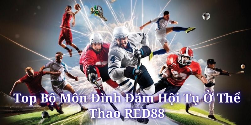 Top Bộ Môn Được Yêu Thích Nhất Tại RED88